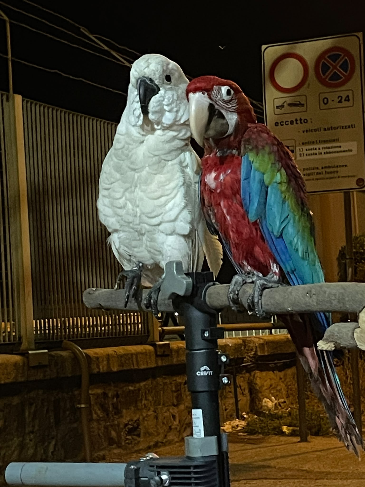 I tre moschettieri del camper